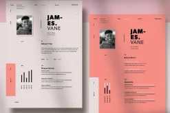 Red and Ivory Resume