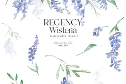 Regency Wisteria Watercolor Clipart