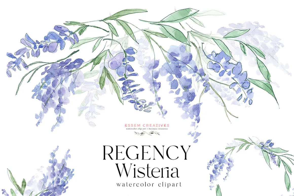 Regency Wisteria Watercolor Clipart