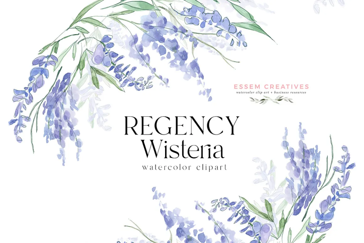 Regency Wisteria Watercolor Clipart