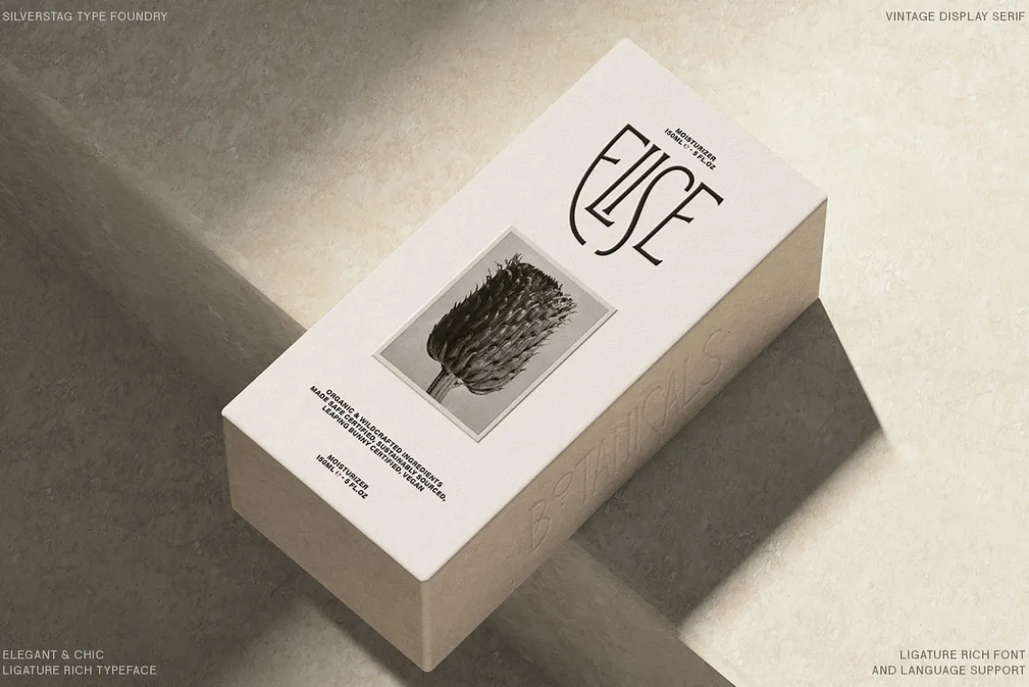 Reina Sofia - Vintage Display Serif