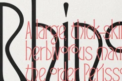 Reina Sofia - Vintage Display Serif