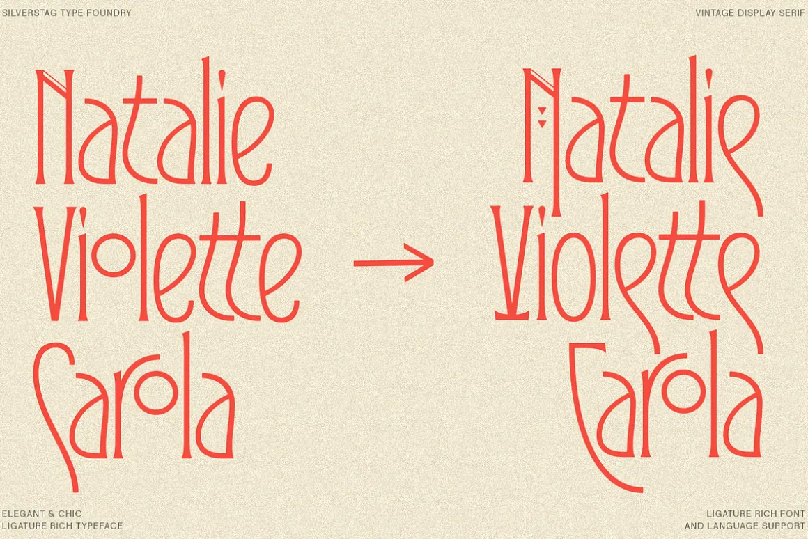 Reina Sofia - Vintage Display Serif