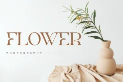 Remon - Elegant Serif Font