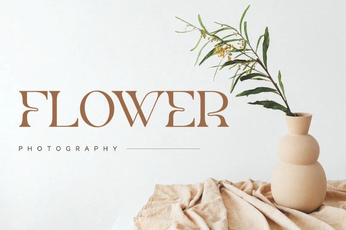 Remon - Elegant Serif Font