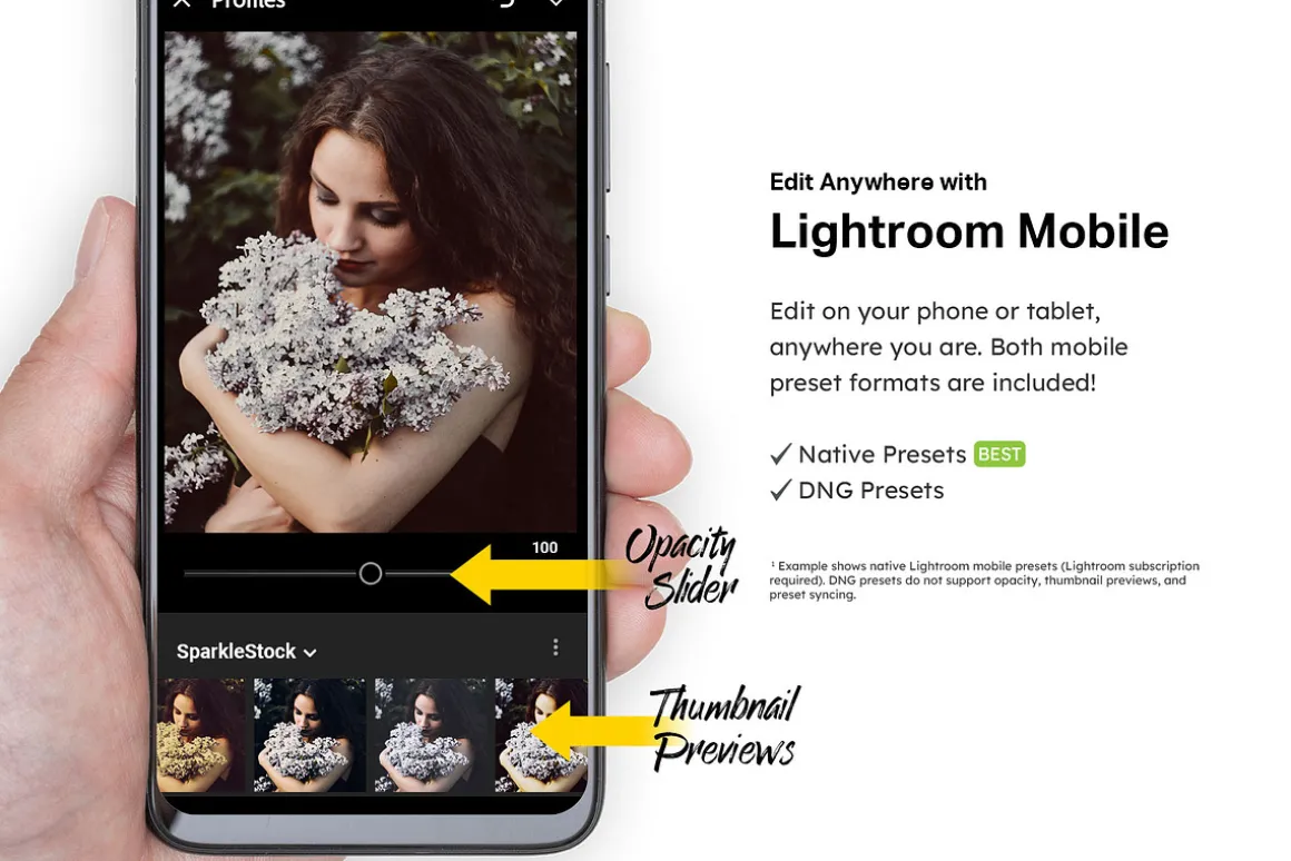 50 Renaissance Lightroom Presets