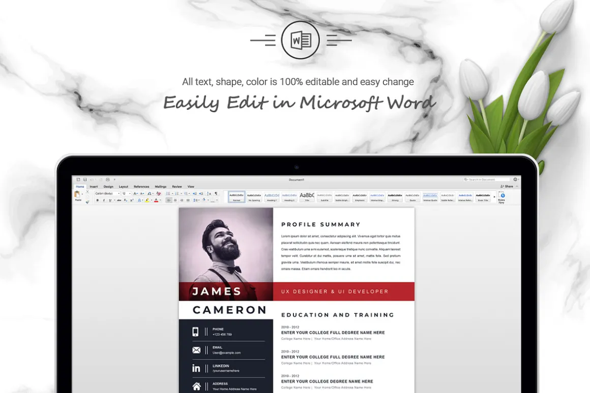 Resume/CV Design Template | MS Word