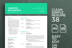 Resume Template 38