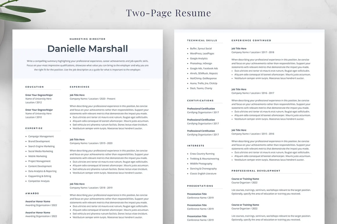 Resume Template Danielle