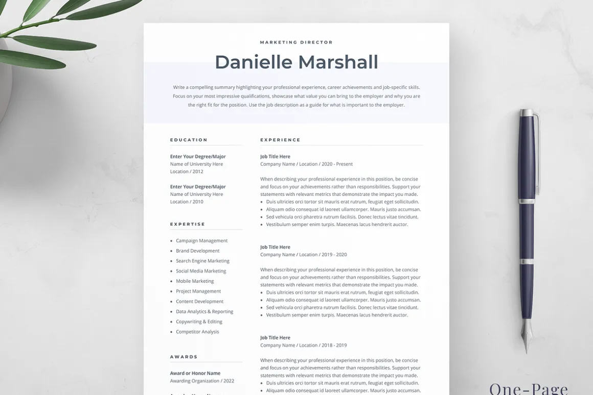 Resume Template Danielle