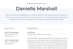 Resume Template Danielle
