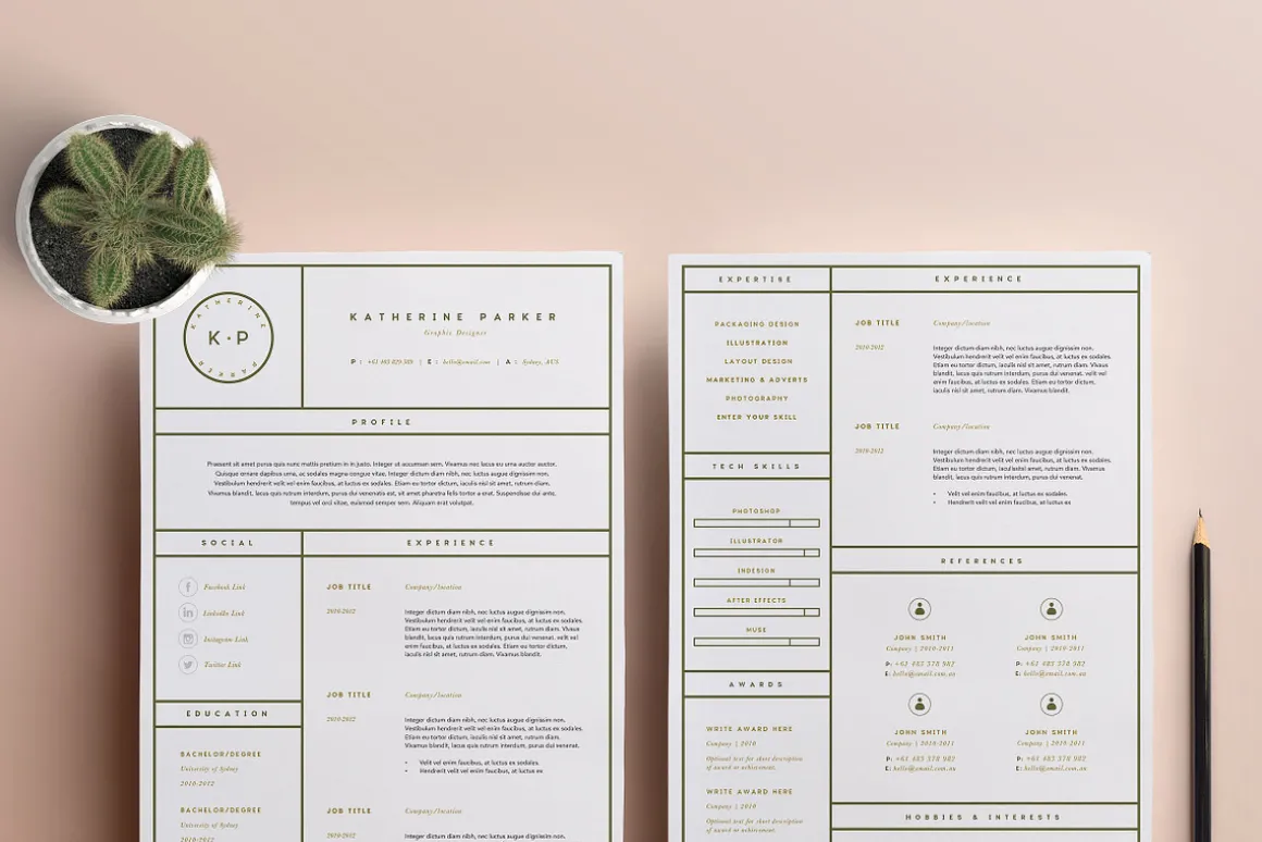 Resume Template 3 Page