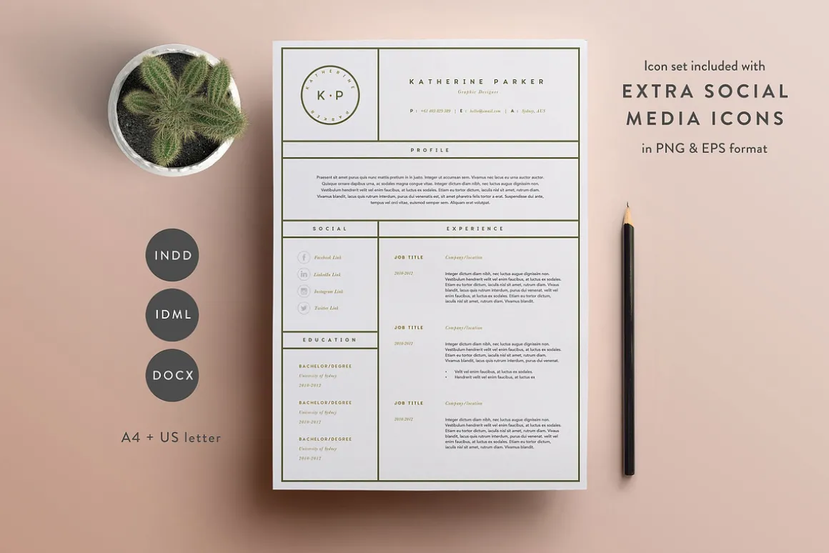 Resume Template 3 Page