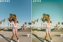 Retro Inspired Wes Anderson Presets
