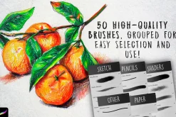 50 Retro Pencils - Procreate Brushes