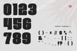 Rexa Bold - Modern Sport Logo Font