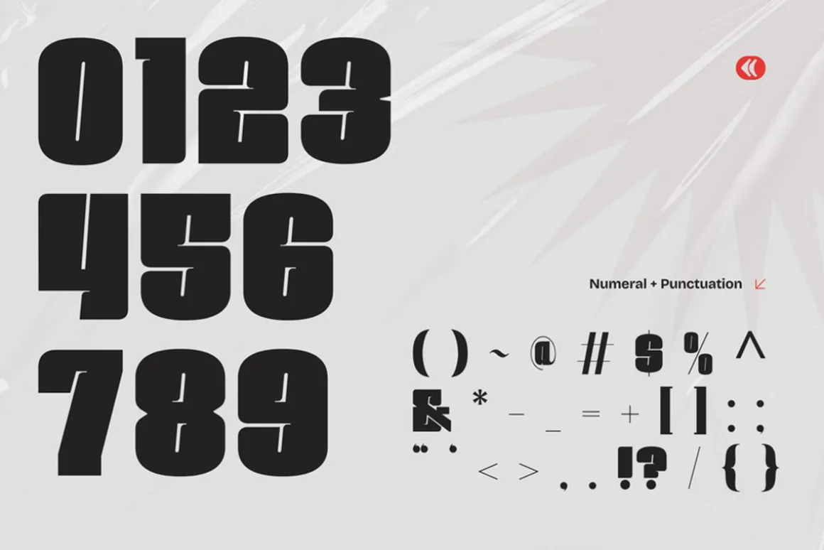 Rexa Bold - Modern Sport Logo Font