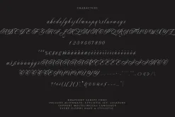 Rhapsody | Calligraphy Script