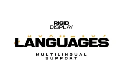 Rigid Modern Vintage Logo Font