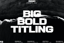 Rigid Modern Vintage Logo Font