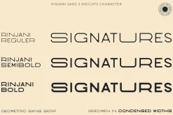 Rinjani Sans - Wide Stretch Typeface