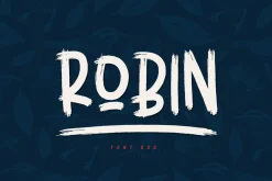 Robin Brush Font
