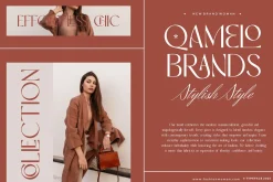 Rodane || Modern Classy Serif Font
