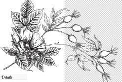 Rose Hip - 6 Seamless Patterns