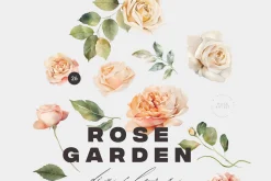 ROSE GARDEN Floral Watercolor Set