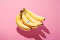 Round Fruit Sticker Mockup Set
