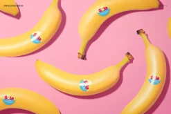 Round Fruit Sticker Mockup Set