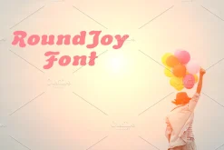 RoundJoyFont-Italic-030-24