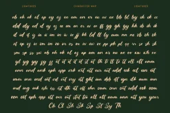 Routine Oldnight Modern Brush Font