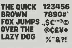 RUGLES — Rustic & Bold Sans