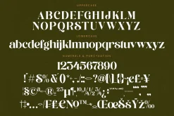 Runlight Harmony Groovy Serif
