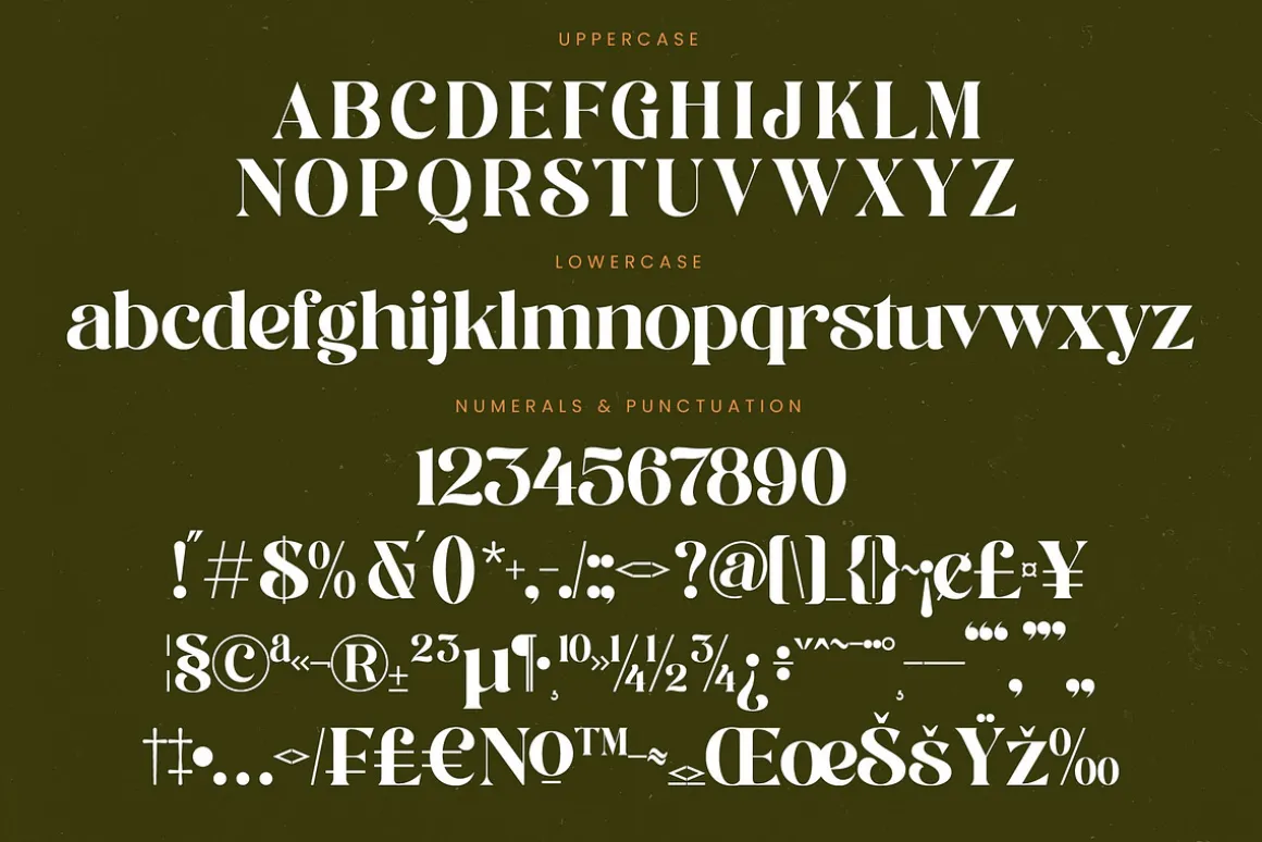 Runlight Harmony Groovy Serif