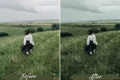 10 Sage Green Lightroom Presets