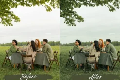 10 Sage Green Lightroom Presets