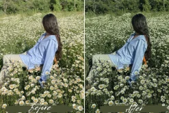 10 Sage Green Lightroom Presets