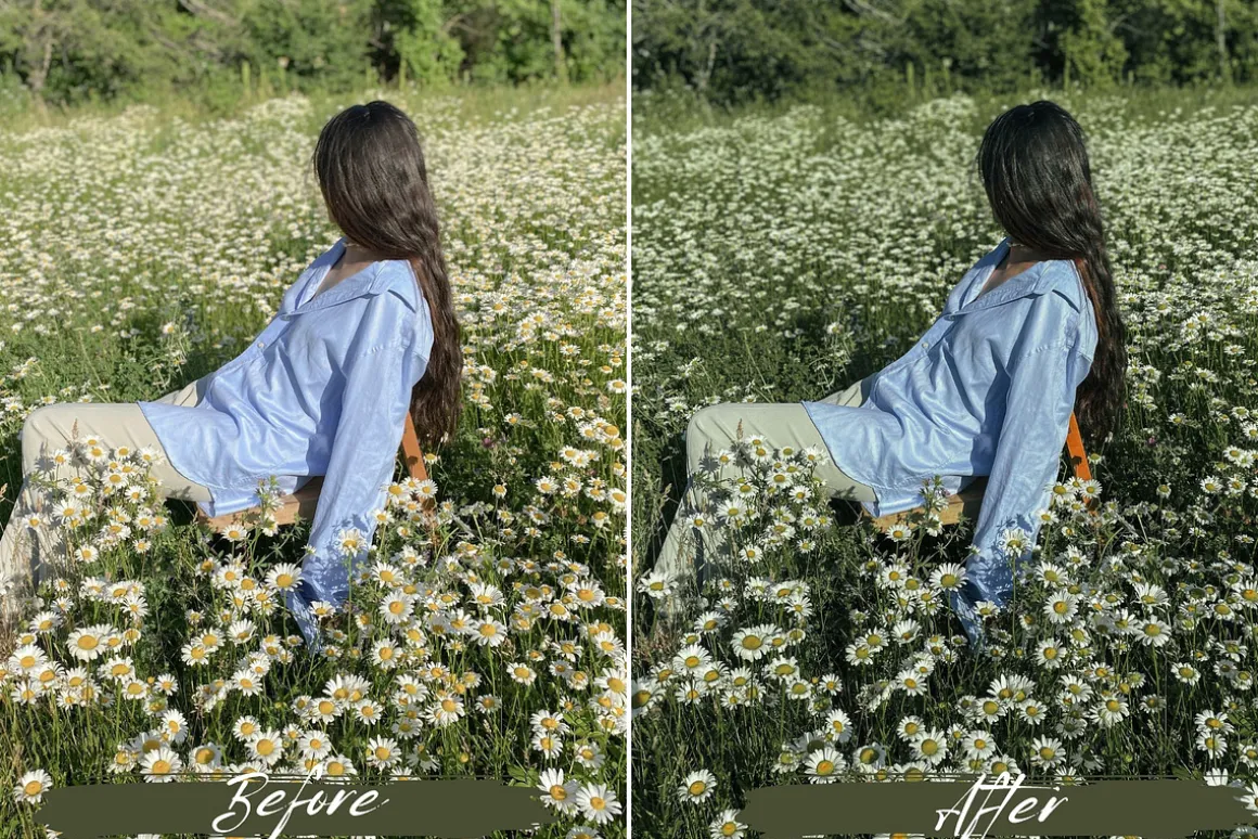 10 Sage Green Lightroom Presets