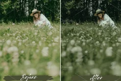 10 Sage Green Lightroom Presets