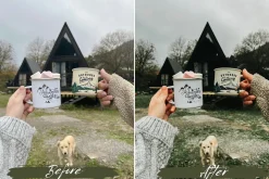 10 Sage Green Lightroom Presets