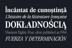 Saigon Minimalist Serif - Basic Pack
