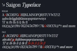 Saigon Minimalist Serif - Basic Pack
