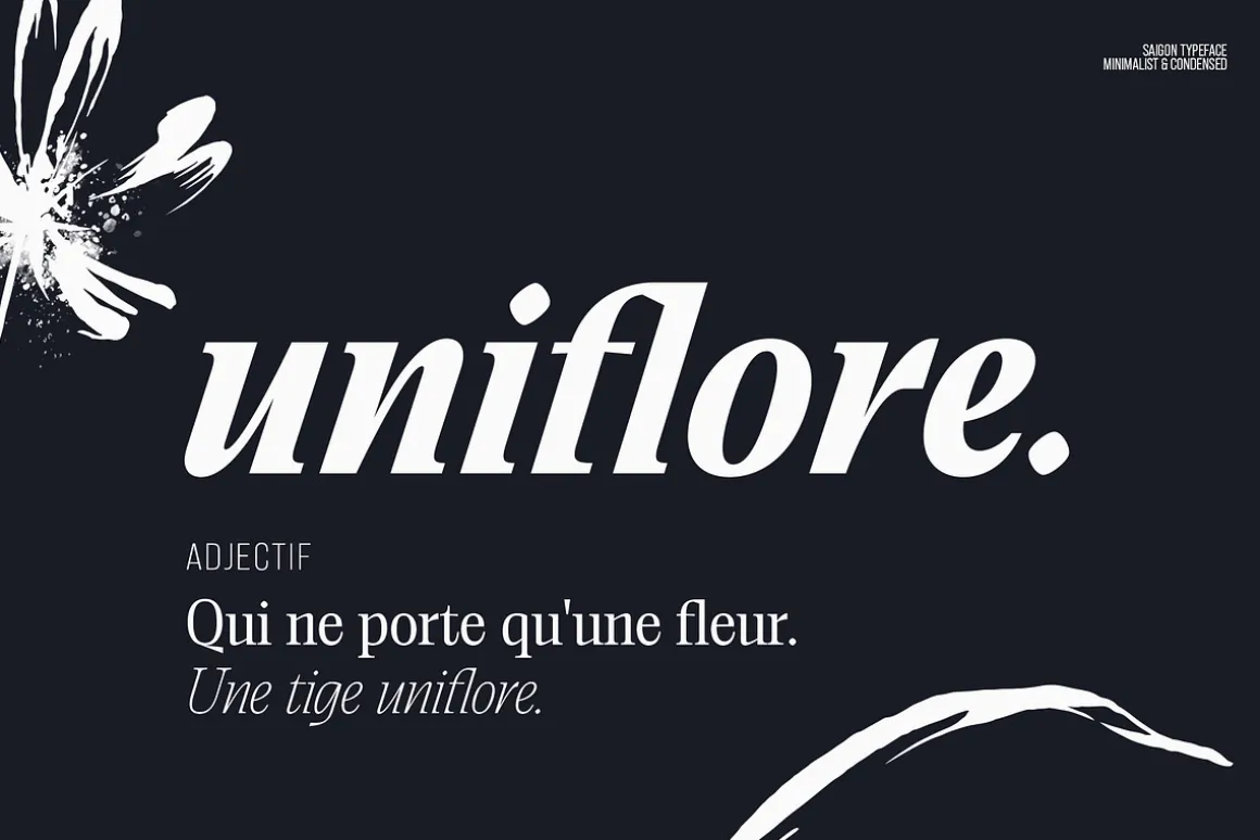 Saigon Minimalist Serif - Basic Pack