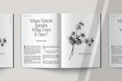Saigon Minimalist Serif - Basic Pack