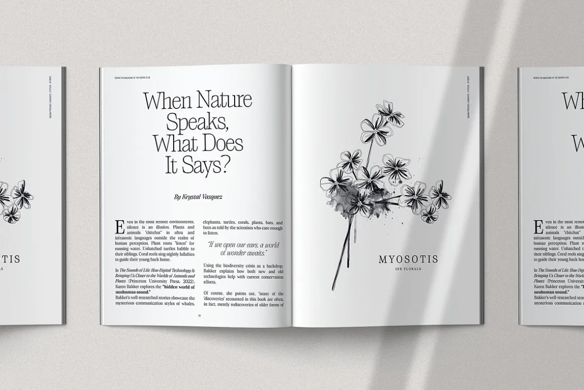 Saigon Minimalist Serif - Basic Pack