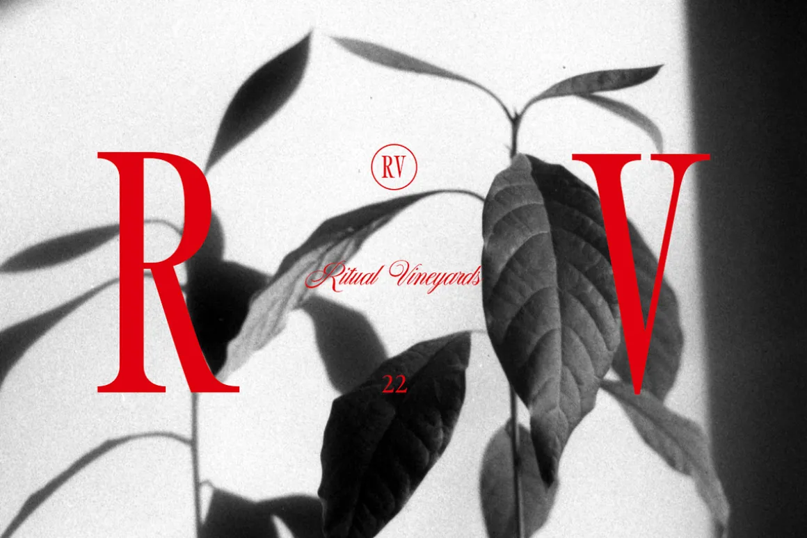 Sailing Club | Nostalgic Serif