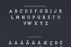 Sailor Font Bundle