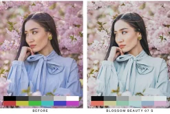 50 Sakura Light Lightroom Presets